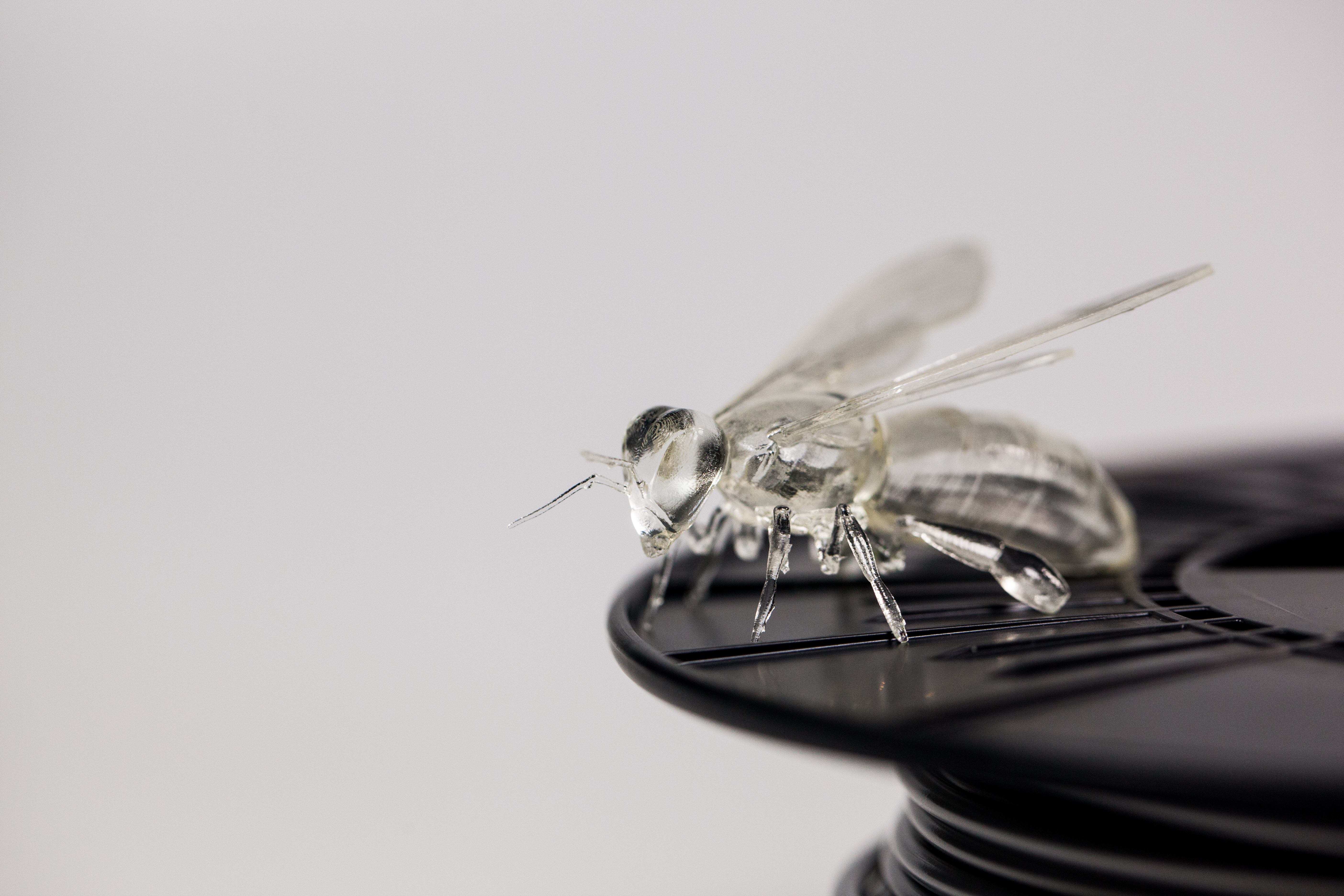 015-Bee