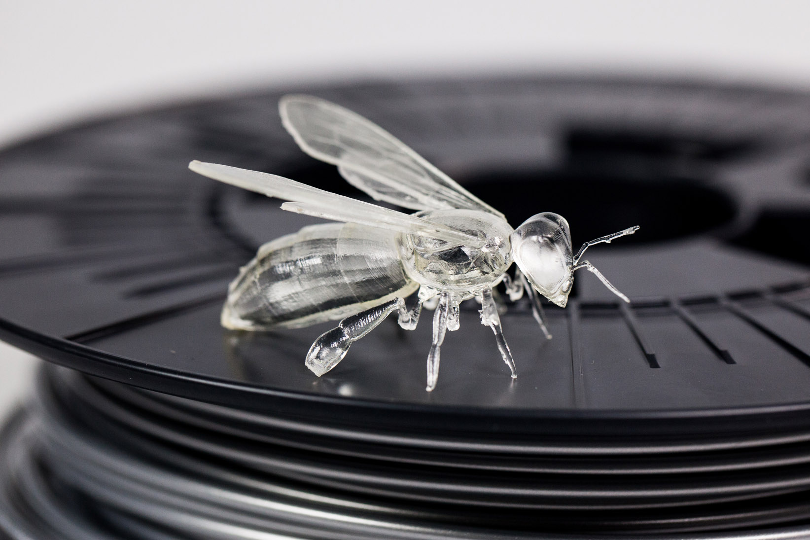 l009-Bee copy